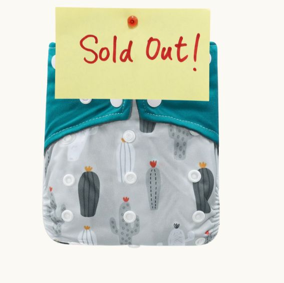 Single Nappy - The Only Nappy They’ll Ever Need